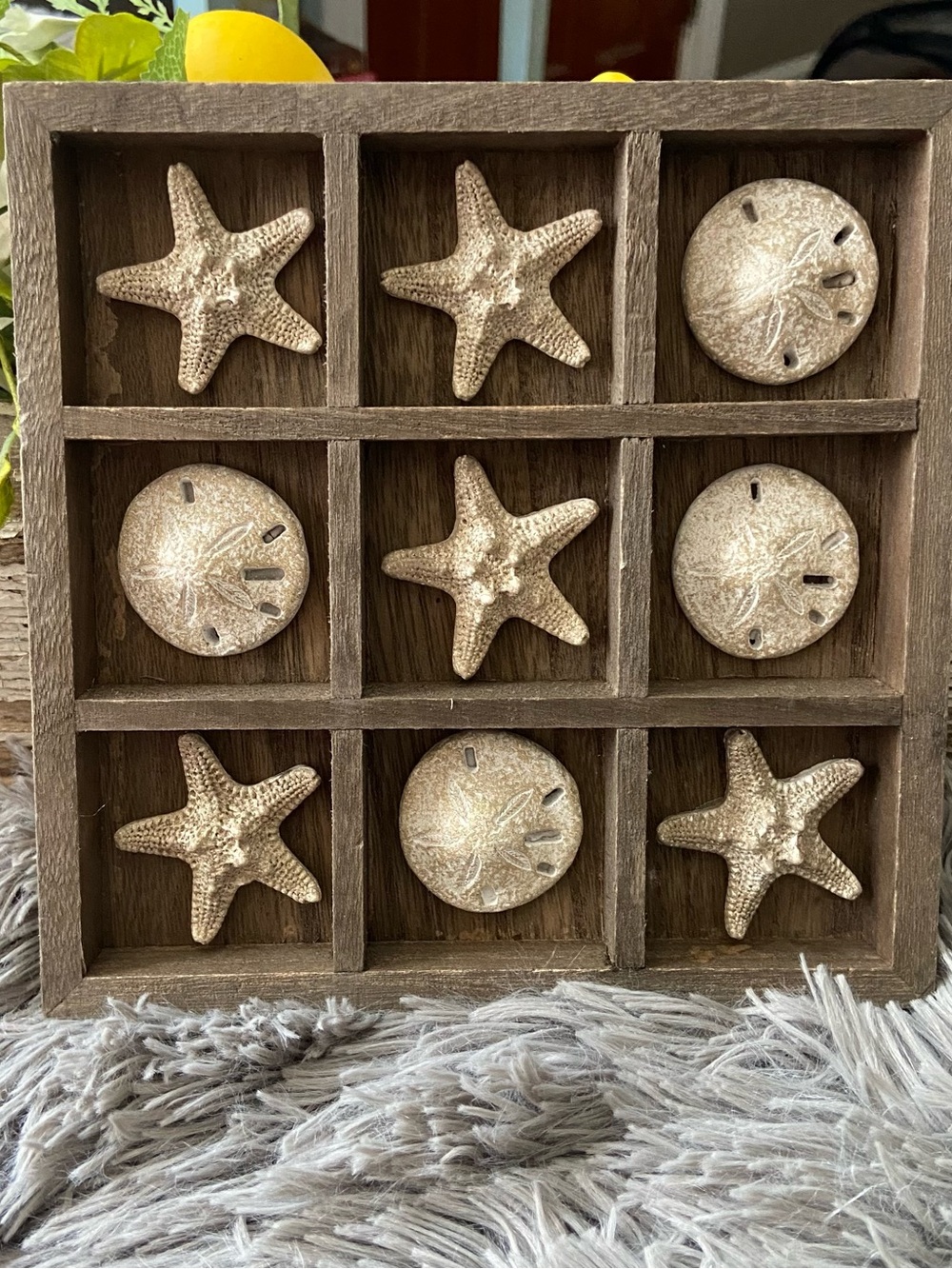 Starfish & Sand Dollars Coastal/Nautical Framed Art 7” Square
